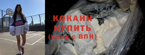 прущий лед Богданович