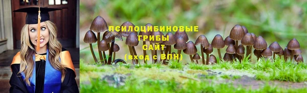 гидропоника Богородск