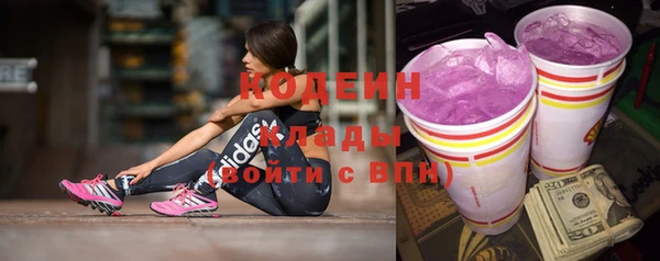 прущий лед Богданович