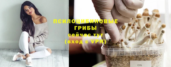 прущий лед Богданович
