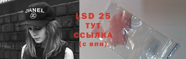 дмт Богородицк