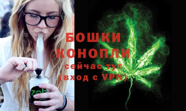 гидропоника Богородск