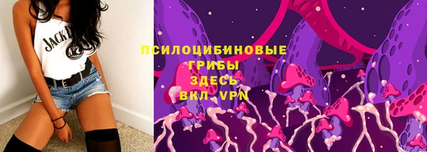 прущий лед Богданович