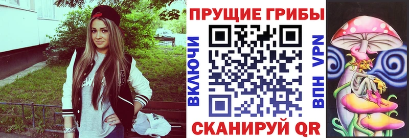 где можно купить наркотик  Беломорск  Псилоцибиновые грибы Psilocybine cubensis 